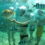 rekomendasi pulau untuk outing