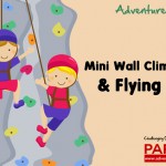 wall climbing kids dan flying fox parkia