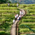 outing kantor trekking sentul